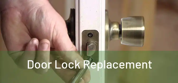  Door Lock Replacement 